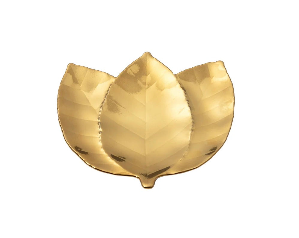 Costa Nova Hornbeam Leaf Botanica