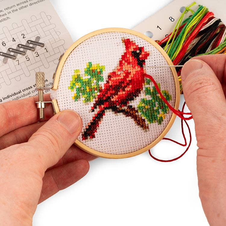 Kikkerland Mini Cross Stitch Embroidery Kit-Cardinal