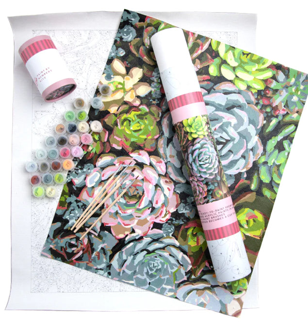 Pink Picasso Paint By Numbers Kit (16x20)-Sensitive Succulents