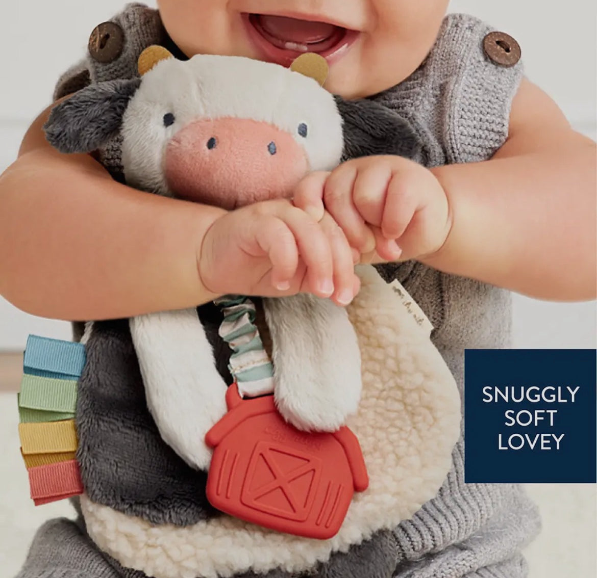 Itzy Ritzy Lovey Plush And Teether Toy