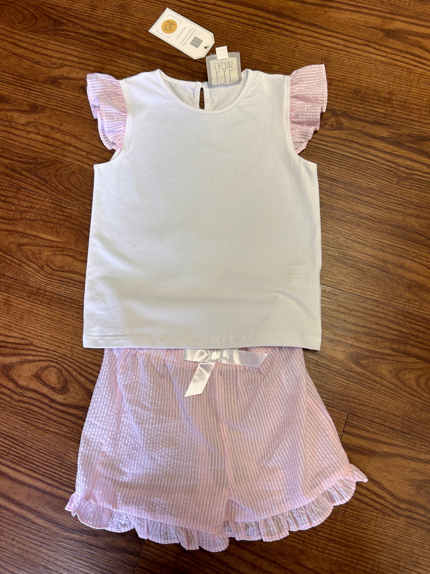 Lil Cactus Pink Seersucker Ruffle Set (4T)