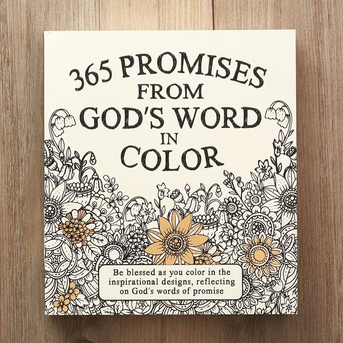 Christian Art Gifts Coloring Devotional 365 Promises God's Word in Color