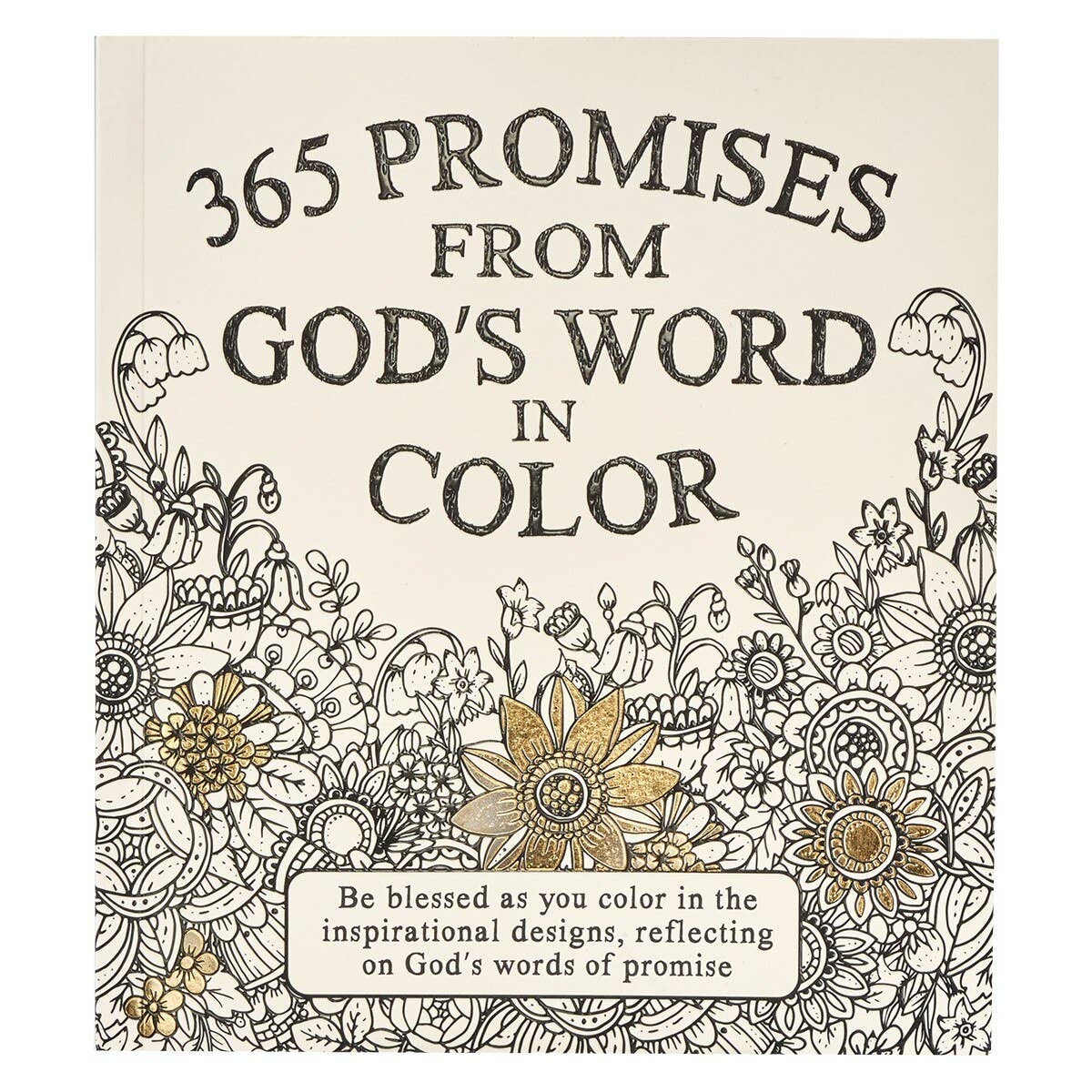 Christian Art Gifts Coloring Devotional 365 Promises God's Word in Color