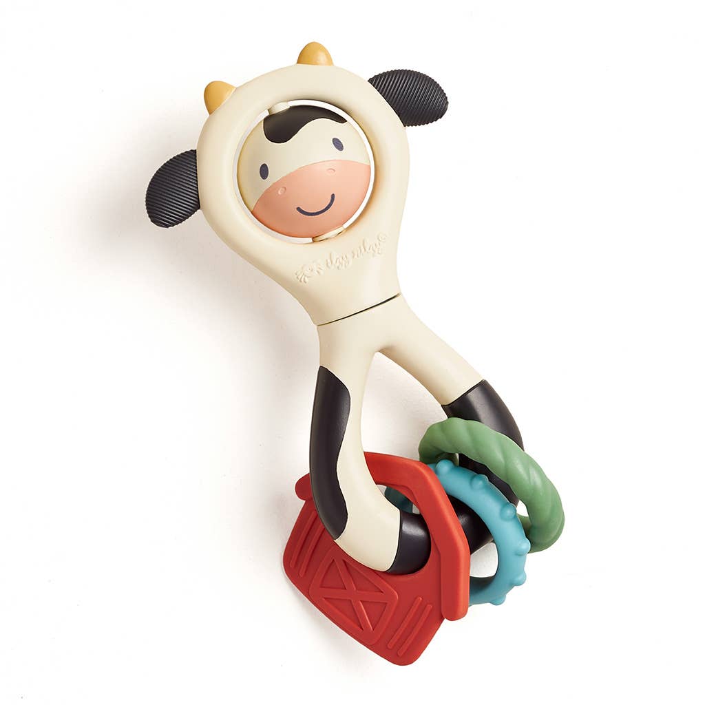 Itzy Ritzy Spinner