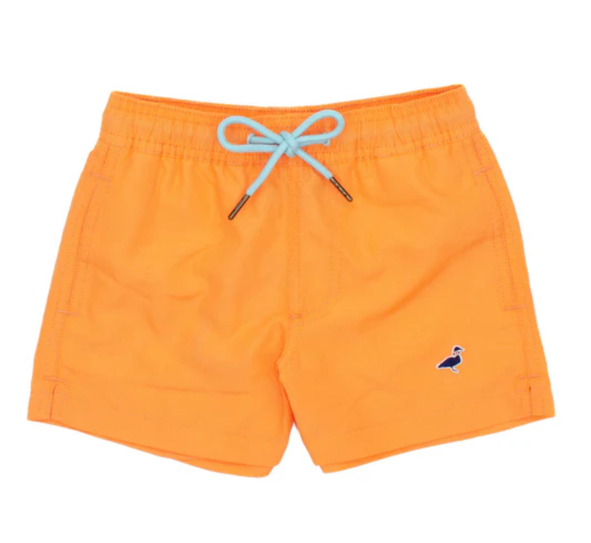 Properly Tied Baby/Boys Swim Trunk-Cantaloupe