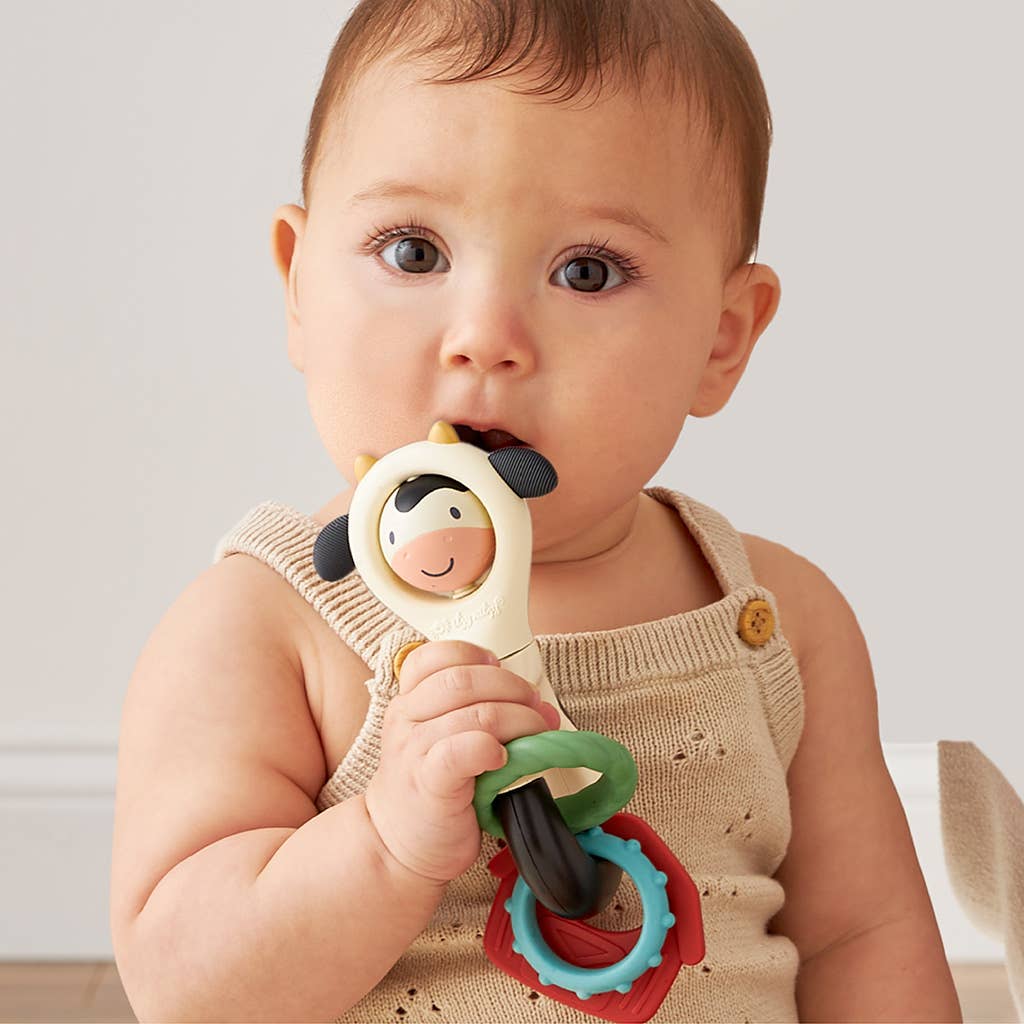 Itzy Ritzy Spinner